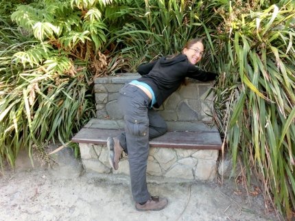 christchurch (21)